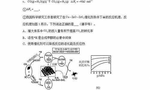 新高考新教材新课标化学_新课标高考化学复习