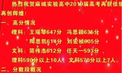 麻城实验高中高考成绩2024,麻城实验高中高考成绩